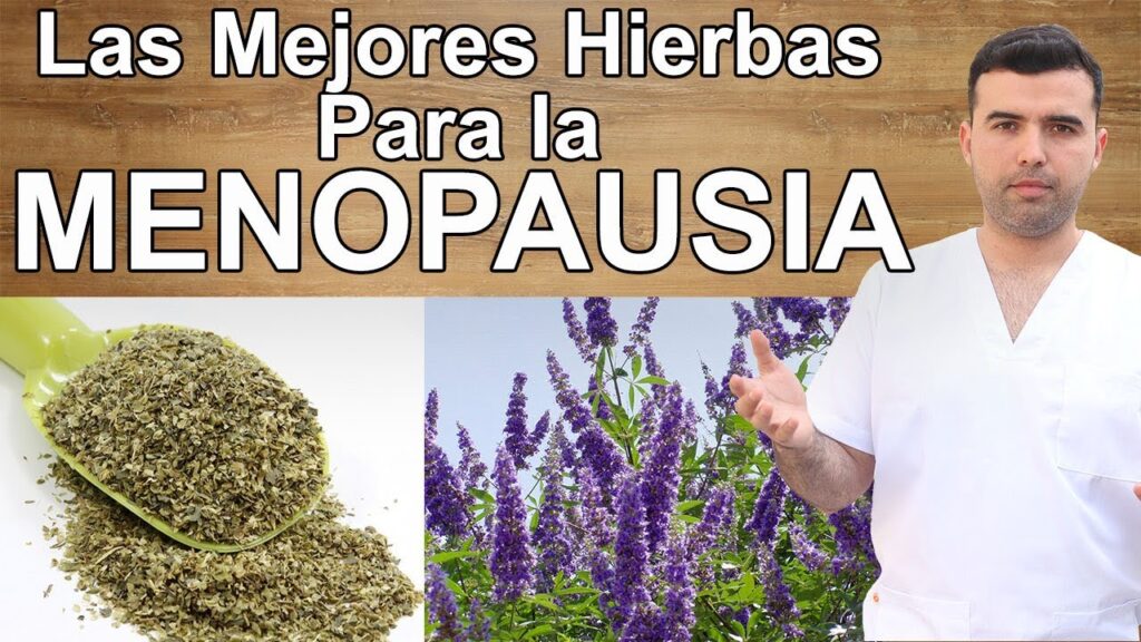 Infusiones para aliviar la menopausia: Descubre las opciones naturales 1 infusiones para aliviar la menop