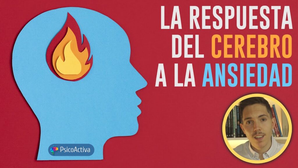 La ansiedad puede afectar seriamente el funcionamiento cerebral: descubre cómo combatirla. 1 la ansiedad puede afectar seriam