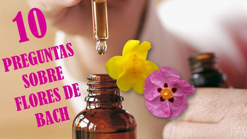 La combinación perfecta: Terapia floral de Bach y afirmaciones positivas en la psicología moderna 1 la combinacion perfecta terapia