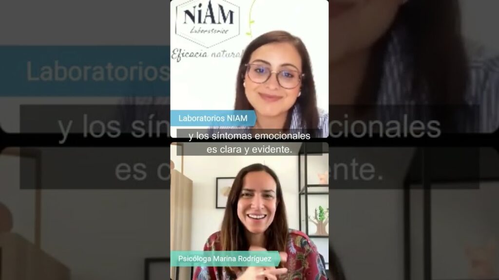 La conexión entre ansiedad y síndrome del intestino irritable: cómo el estrés impacta en tu sistema digestivo 1 la conexion entre ansiedad y sin