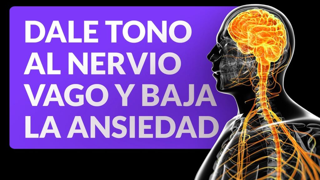 La conexión entre la respiración y el dolor de cabeza: cómo aliviar tus síntomas con técnicas de respiración consciente. 1 la conexion entre la respiracion 1