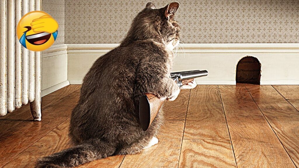 La conexión humano-gato: un análisis desde la psicología 1 la conexion humano gato un anali