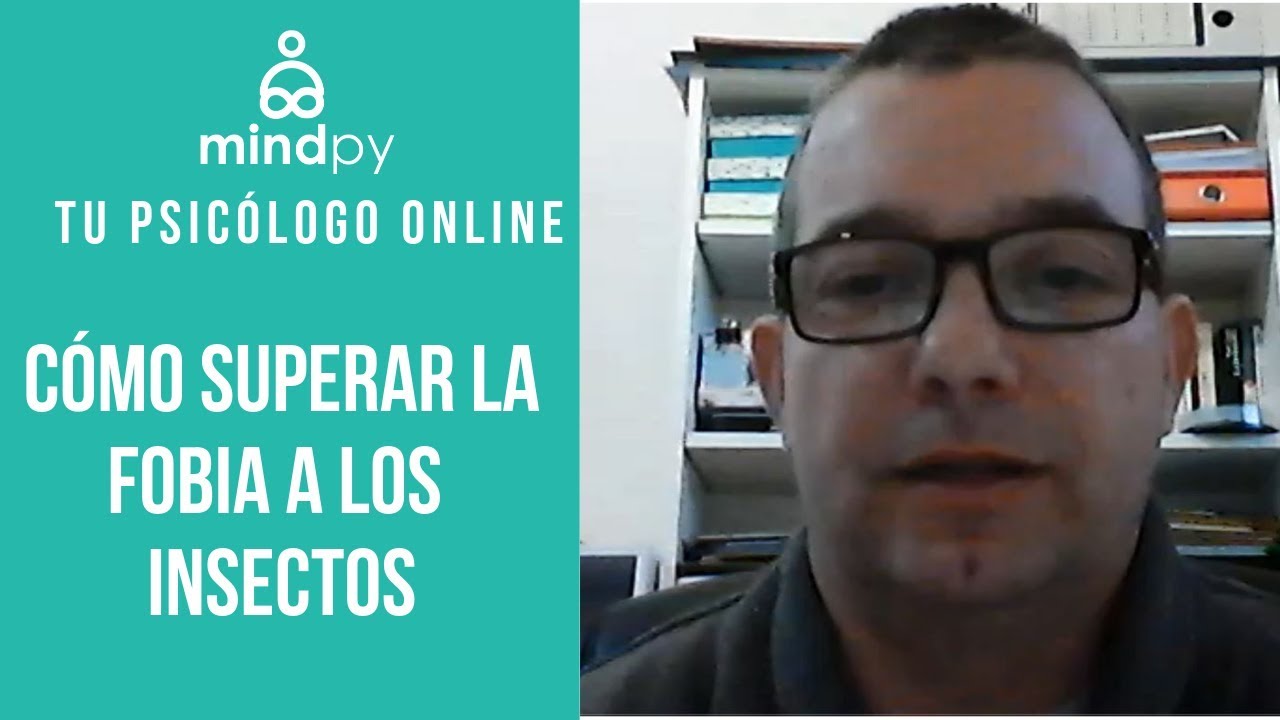 La entomofobia: cómo superar el miedo a los insectos y mejorar tu ...