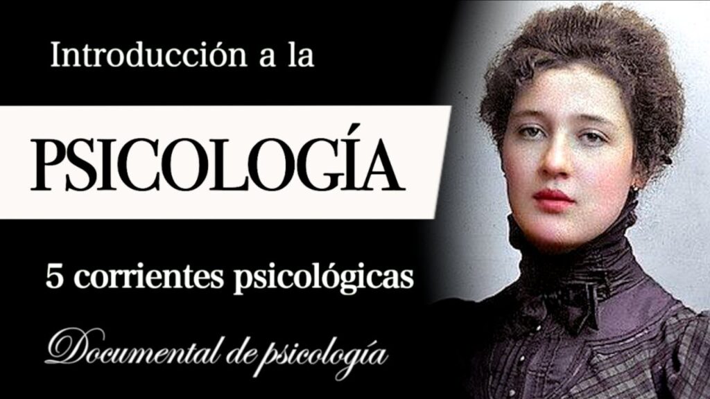 La importancia de la estructura organizativa desde la perspectiva psicológica: componentes esenciales 1 la importancia de la estructura 1