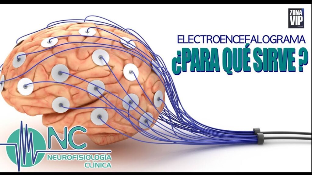 La importancia del mesencéfalo en la Psicología: descubriendo su papel desde la Neurociencia. 1 la importancia del mesencefalo e