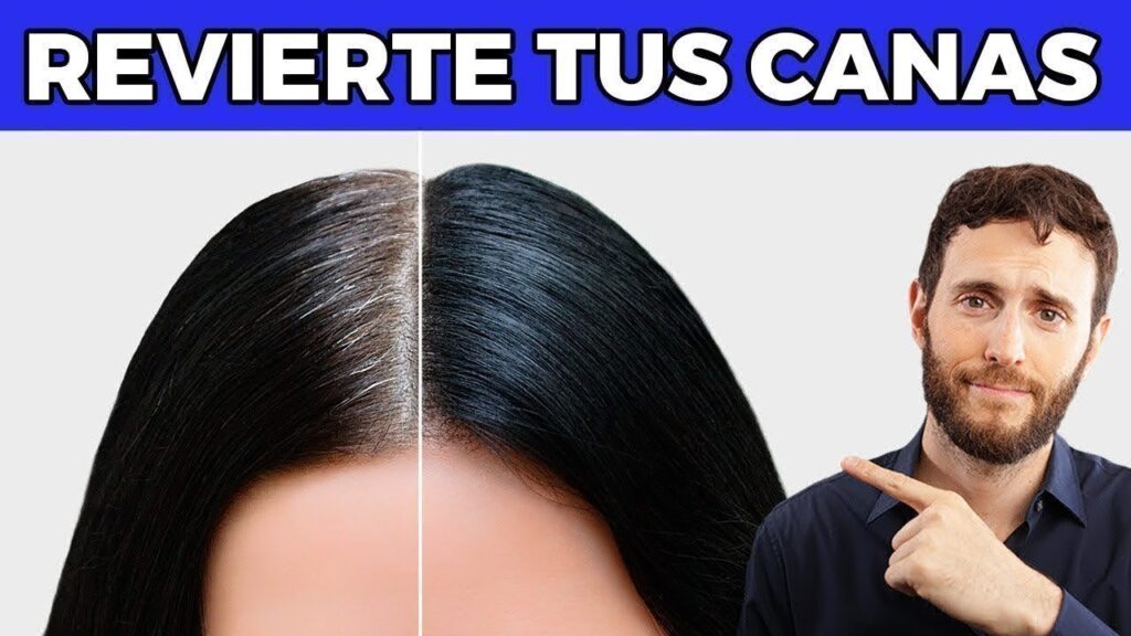 La menopausia y la pérdida de cabello: Cómo recuperar la salud capilar en esta etapa de la vida 1 la menopausia y la perdida de ca