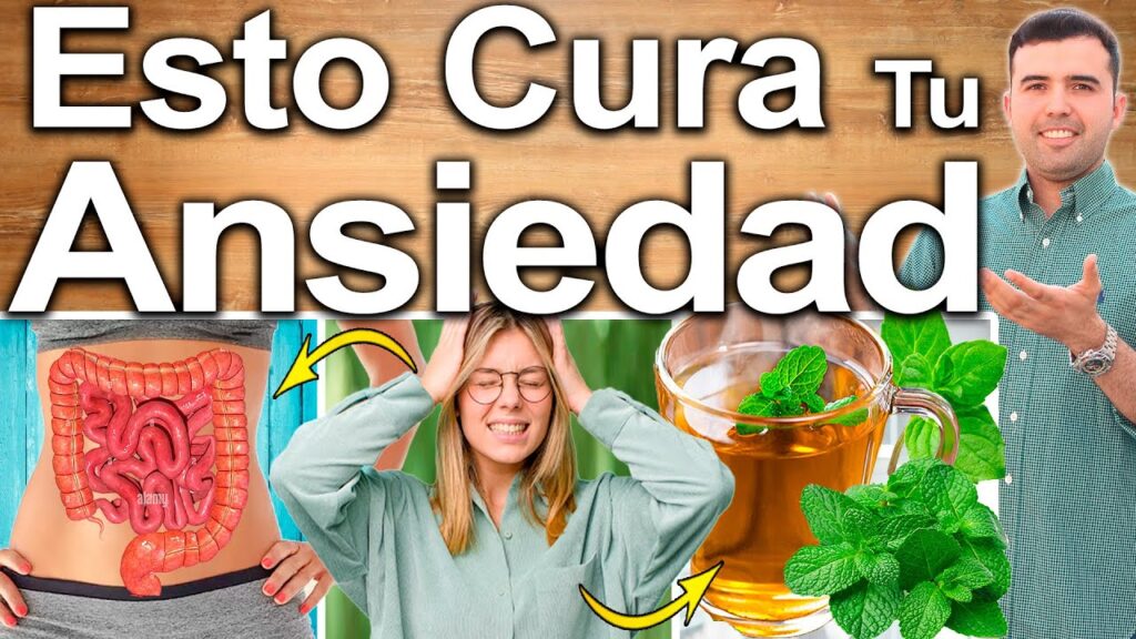 La pasiflora: una alternativa natural para combatir la ansiedad 1 la pasiflora una alternativa nat