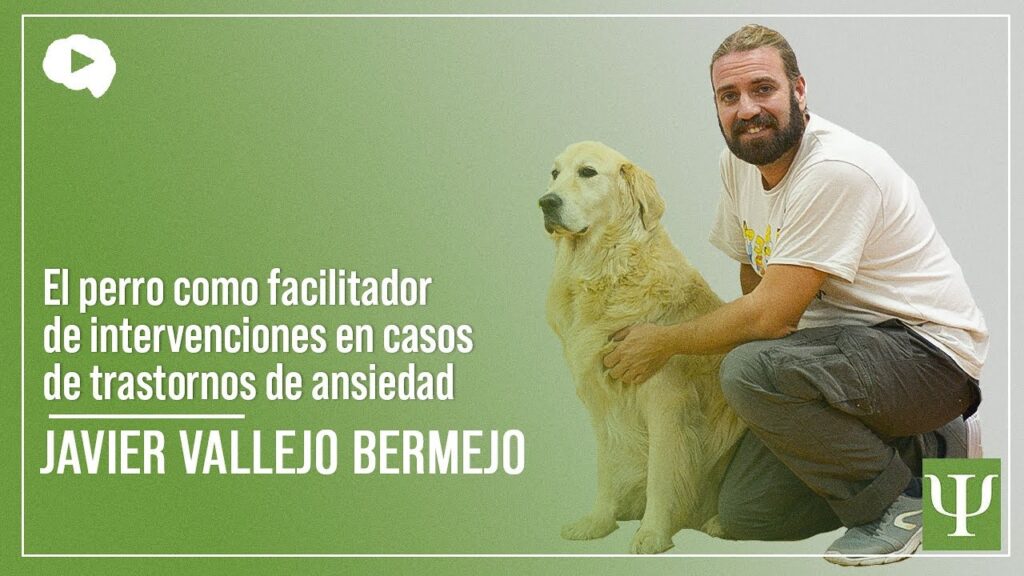 La terapia con animales: cómo los peludos amigos pueden ayudarnos a combatir la ansiedad 1 la terapia con animales como los