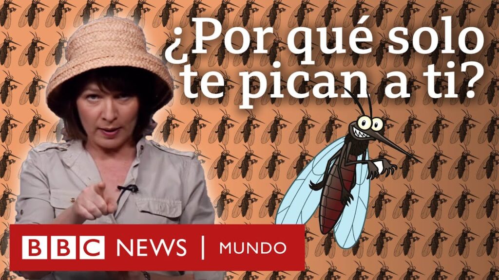 Las causas del miedo irracional a los mosquitos: ¿Por qué algunas personas lo experimentan? 1 las causas del miedo irracional
