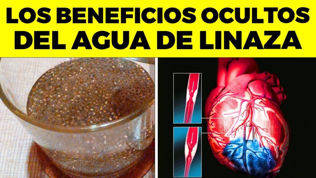 Levadura de cerveza: un aliado natural para mitigar la ansiedad 1 levadura de cerveza un aliado na