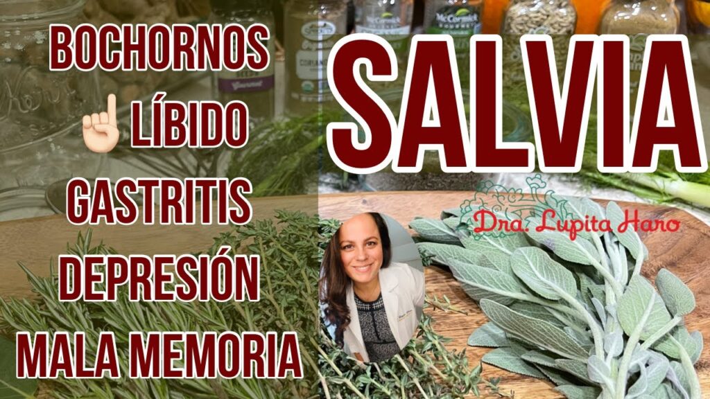 Los 5 mejores suplementos nutricionales para combatir los síntomas de la menopausia 1 los 5 mejores suplementos nutric