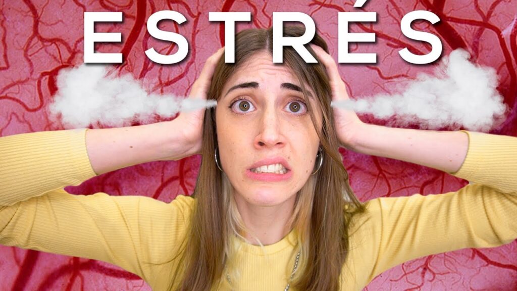 Los efectos físicos de la ansiedad: cómo el estrés impacta en nuestro cuerpo 1 los efectos fisicos de la ansied 3
