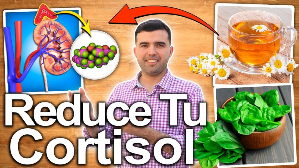 Manejo de la ansiedad durante el embarazo: consejos para cuidar tu bienestar emocional 1 manejo de la ansiedad durante el 1