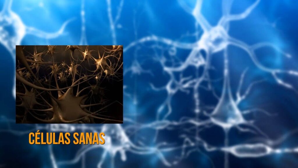Manejo de la ansiedad y recuperación del control ante la pérdida de conciencia: Estrategias para superar los síntomas 1 manejo de la ansiedad y recupera