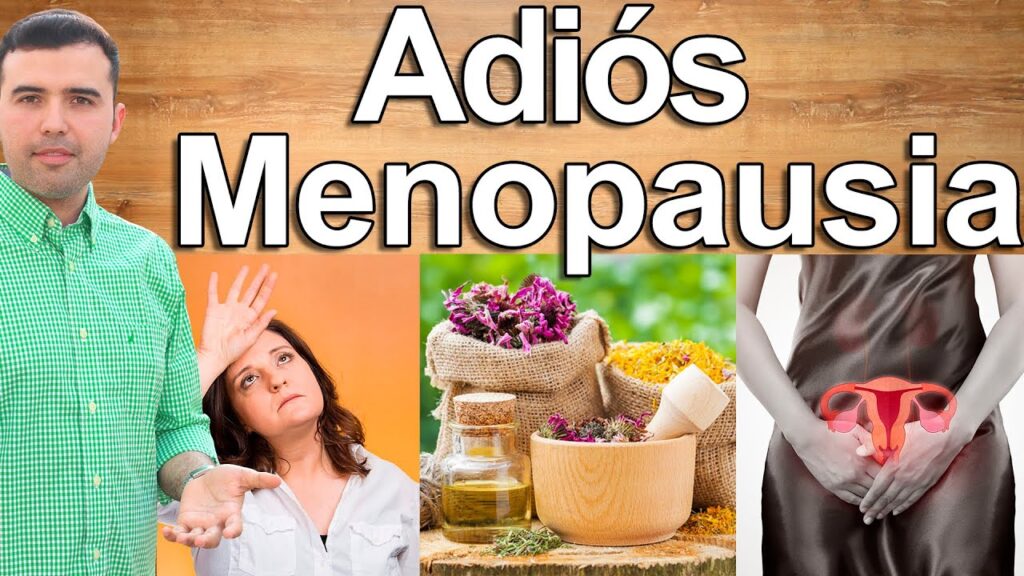 Menopausia y malestar estomacal: ¿Cómo afecta la transición hormonal a la salud digestiva? 1 menopausia y malestar estomacal