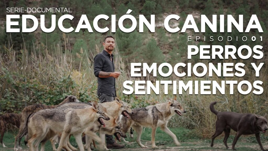 ¿Miedo a los perros grandes? Aprende cómo superarlo desde la psicología 1 miedo a los perros grandes apren