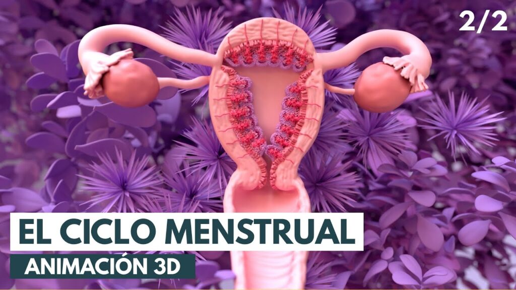 Miedo irracional a la menstruación: Cómo superar la fobia menstrual desde la perspectiva psicológica 1 miedo irracional a la menstruaci
