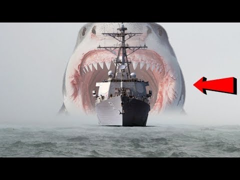 Puntophobia: cómo el temor a objetos puntiagudos condiciona nuestra rutina diaria 1 puntophobia como el temor a obje