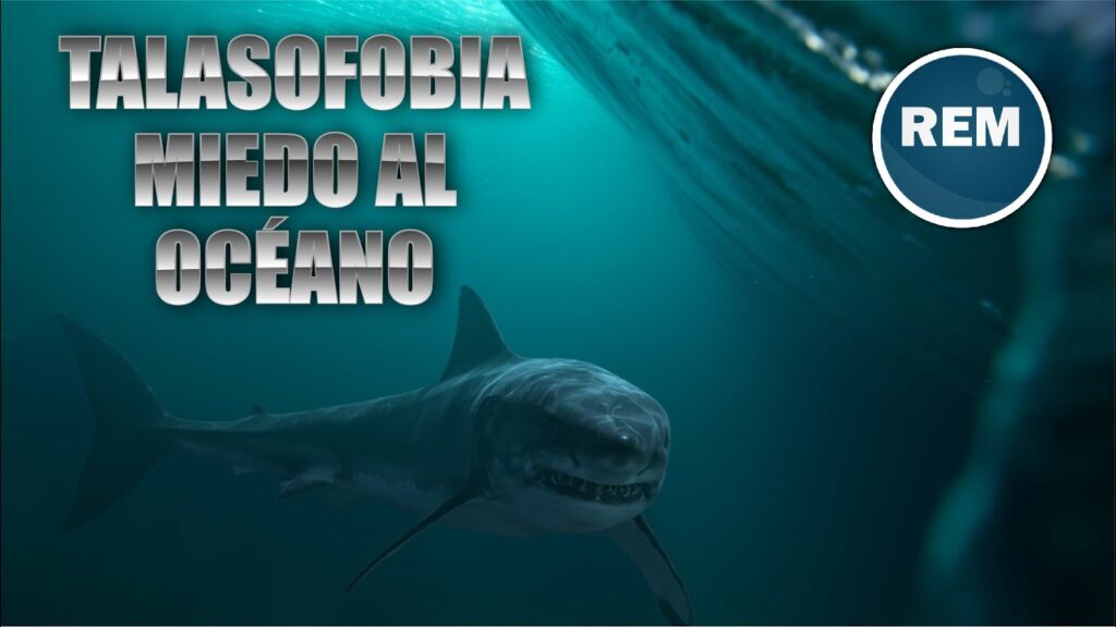 Superando el miedo al mar: Una prueba psicológica de valentía y superación 1 superando el miedo al mar una pr