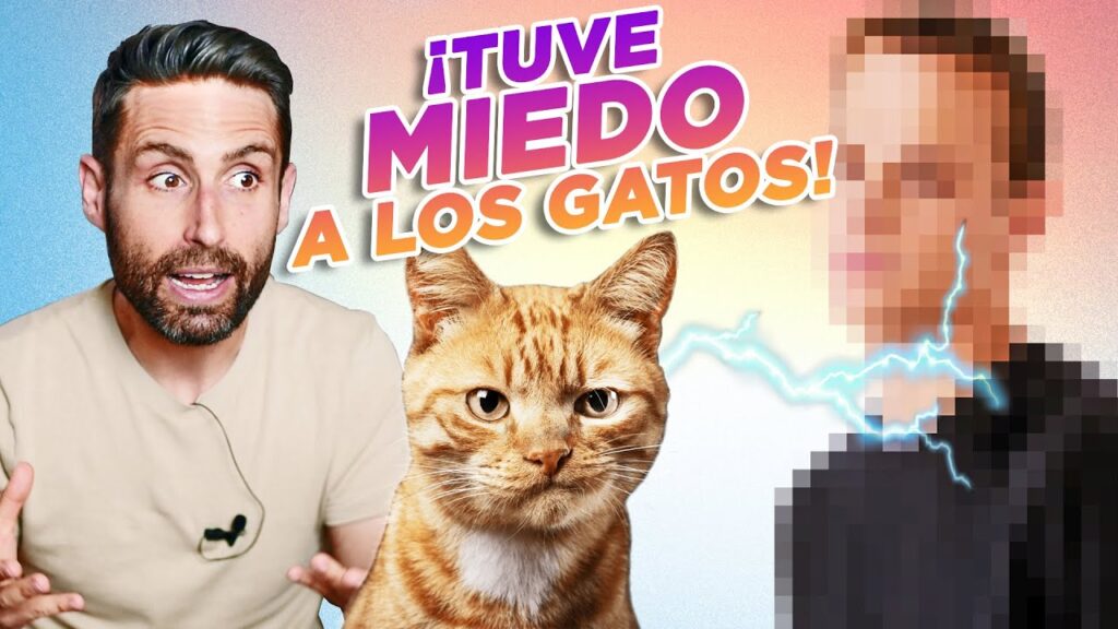Superando la ailurofobia: cómo la psicología puede ayudarte a enfrentar el miedo irracional a los gatos 1 superando la ailurofobia como la