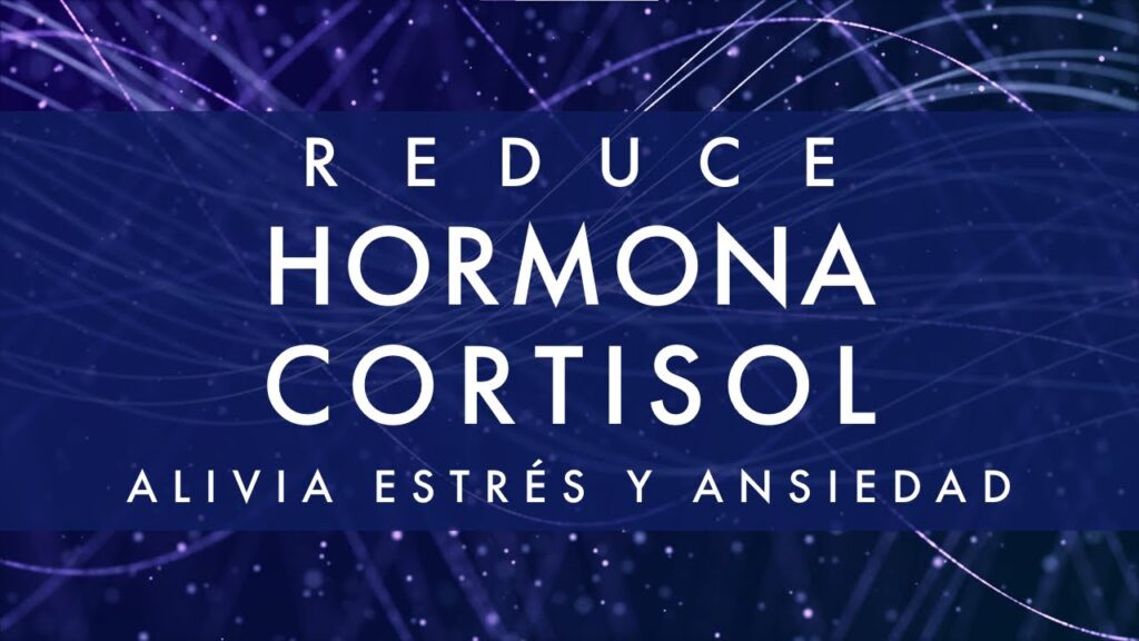 Suplementos nutricionales: aliados para combatir la ansiedad y el estrés 1 suplementos nutricionales aliado 2