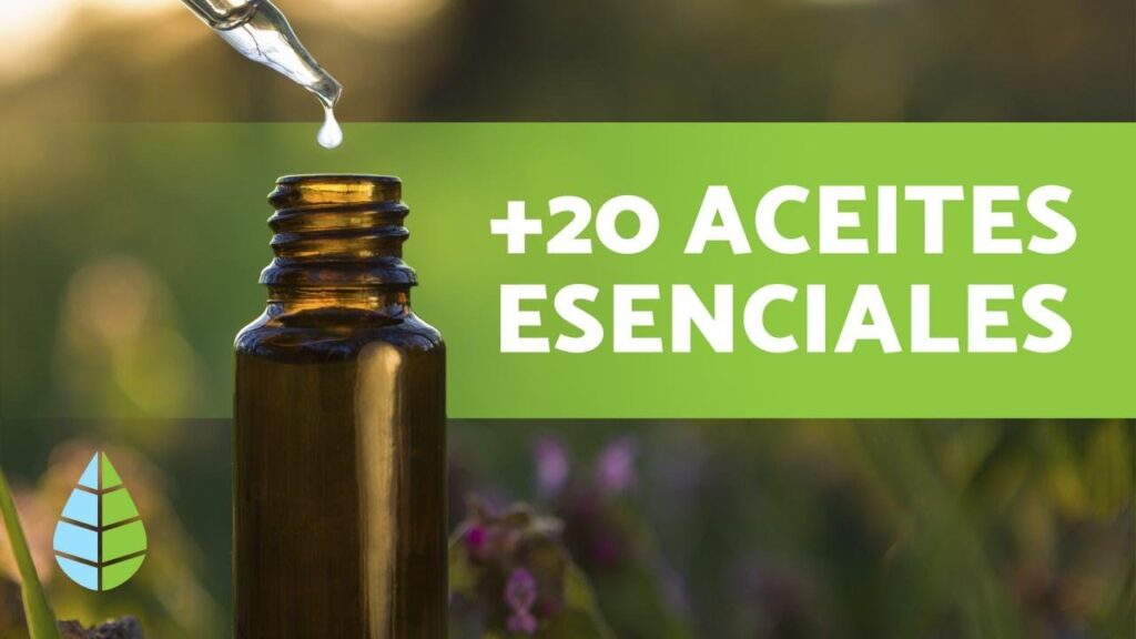 Terapia Aromática: Una Combinación de Aceites Esenciales para Aliviar la Depresión 1 terapia aromatica una combinacio