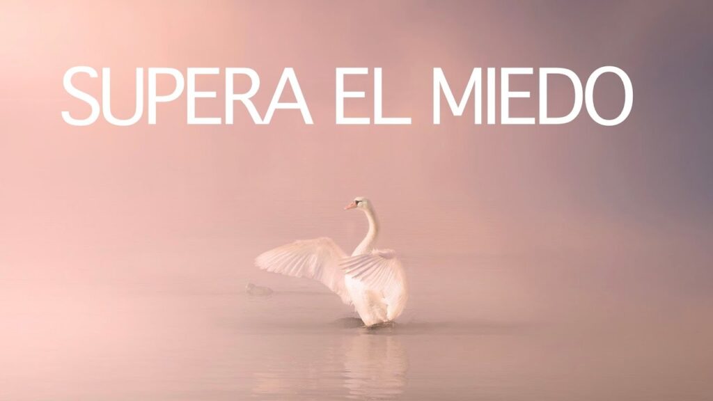 Terapia breve: vence tus miedos, pánico y fobias en psicología 1 terapia breve vence tus miedos p