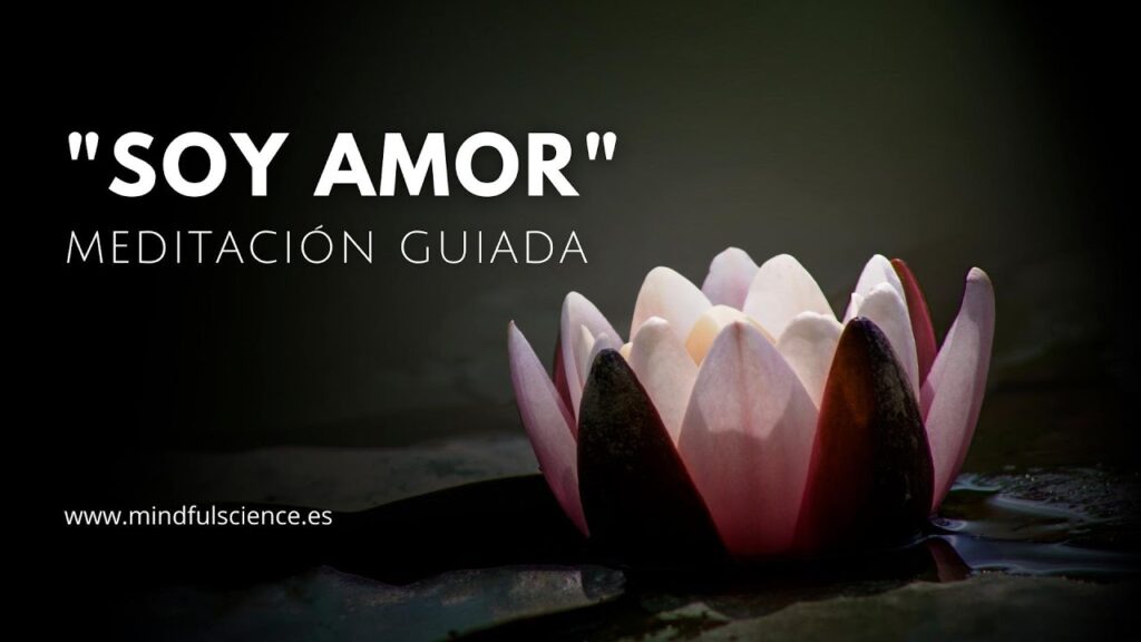 Terapia de Meditación con Afirmaciones Positivas: Descubre el Poder Transformador para tu Bienestar Mental 1 terapia de meditacion con afirma