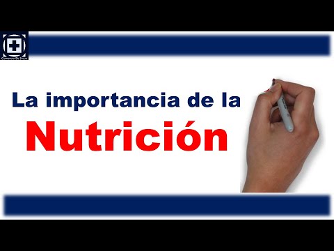 Thermomix: una herramienta imprescindible para fomentar una alimentación saludable en la infancia 1 thermomix una herramienta impres