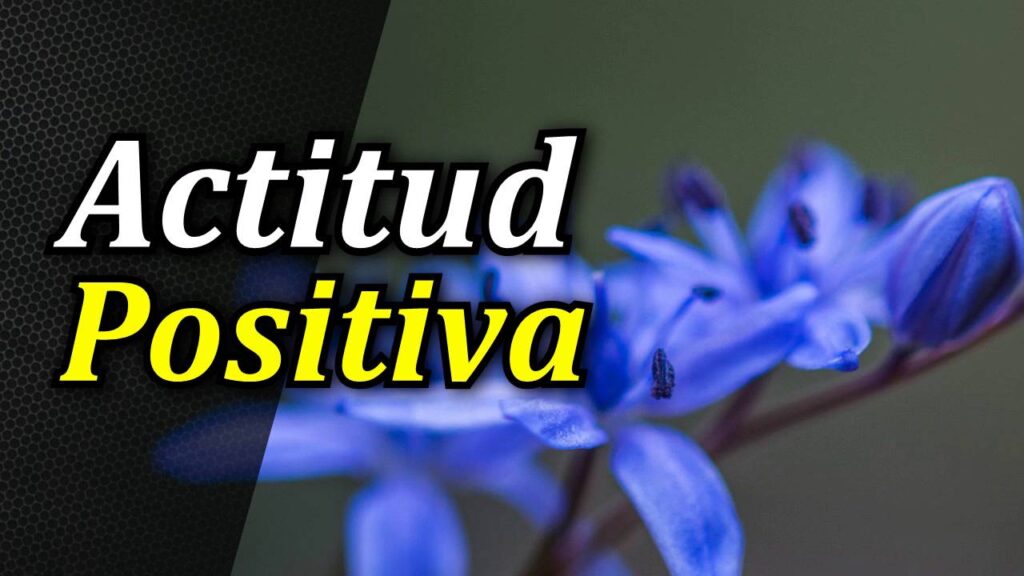 Transforma tu presente: Aprende a cultivar una mentalidad positiva en el día a día. 1 transforma tu presente aprende a