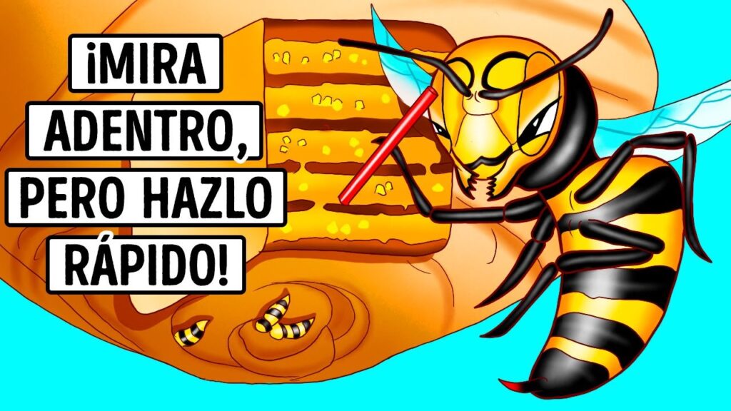 Venciendo el miedo a las colmenas de abejas: Consejos psicológicos para superar la fobia 1 venciendo el miedo a las colmena