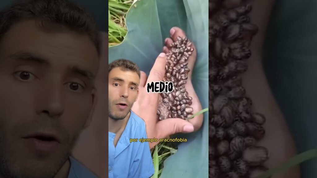 Venciendo la tripofobia: Cómo identificar y superar el miedo a los agujeros 1 venciendo la tripofobia como ide
